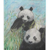 thumb_small_Panda (tecnica mista) - 1987 (pastello, cera).JPG